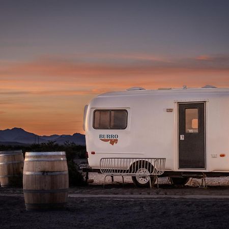 אמרגוסה וואלי Tarantula Ranch Campground & Vineyard Near Death Valley National Park מראה חיצוני תמונה