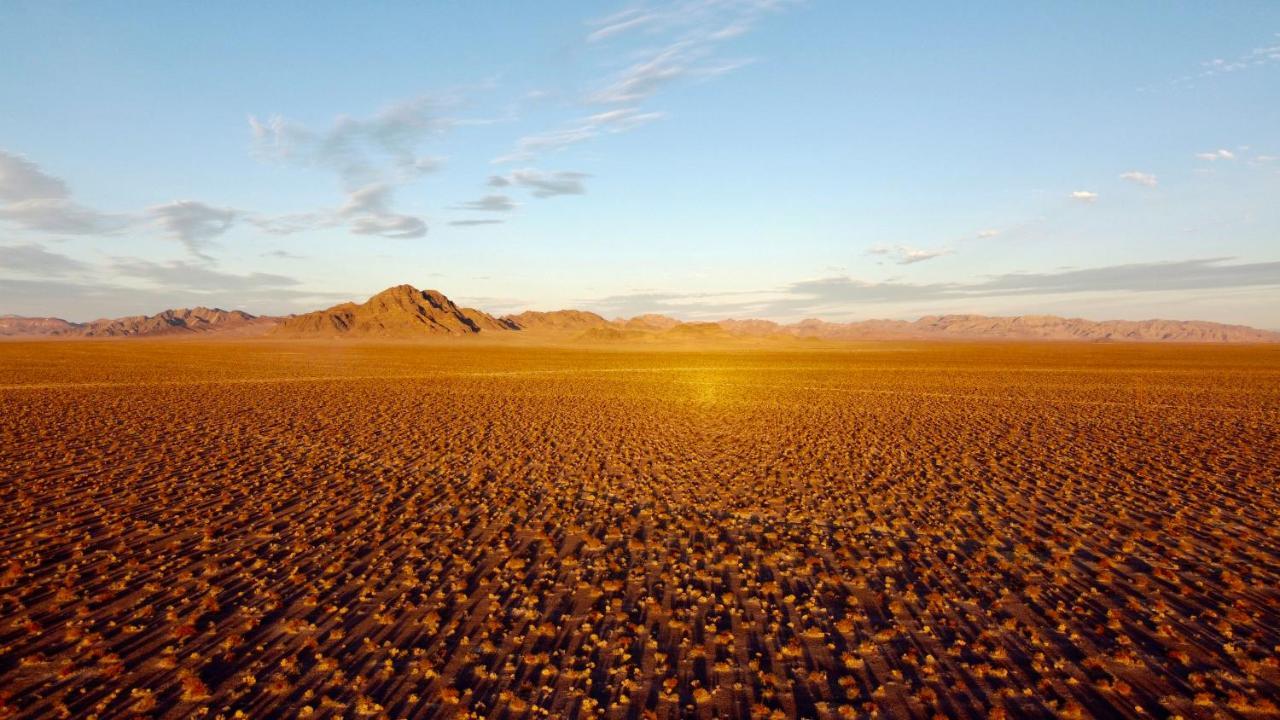 אמרגוסה וואלי Tarantula Ranch Campground & Vineyard Near Death Valley National Park מראה חיצוני תמונה