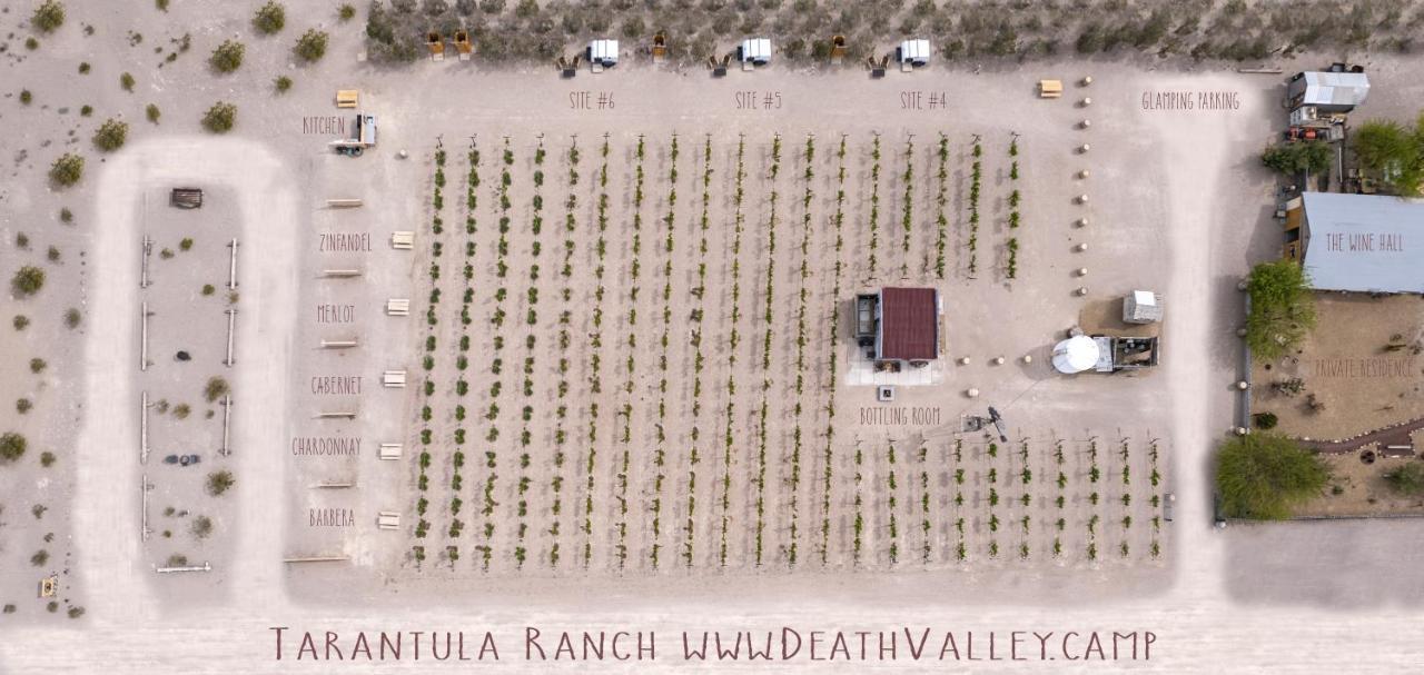 אמרגוסה וואלי Tarantula Ranch Campground & Vineyard Near Death Valley National Park מראה חיצוני תמונה